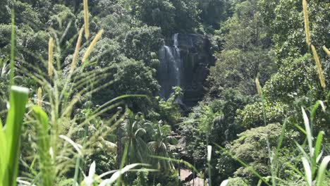 Hermosa-Cascada-De-Sri-Lanka-En-La-Provincia-De-Sabaragamuwa