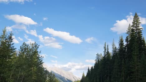 Vista-Del-Paisaje-Desde-El-Interior-Del-Automóvil-En-Movimiento:-Vea-Muchos-Pinos-Mientras-Se-Mueve-En-El-Automóvil-En-El-Parque-Nacional-Con-Un-Hermoso-Cielo-Azul-Claro-Y-Una-Cordillera-Rocosa-En-El-Día-De-Verano-En-Banff,-Canadá