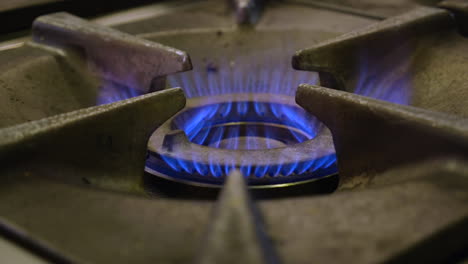 Large-professional-gas-hob-ignites