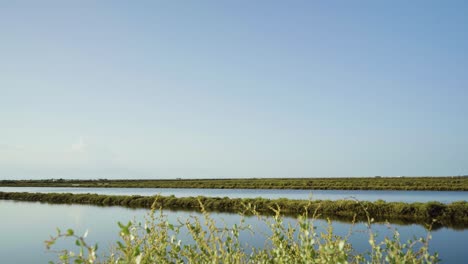Pond-in-the-morning-with-clean-blue-sky-at-Tavira-Portugal