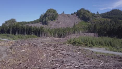 Low-flight-over-logging-landscape,-with-white-truck