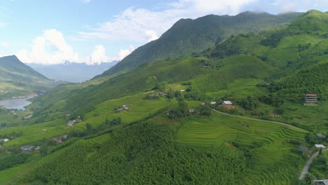 Aerial-shot-of-Rice-Field-valley,-Sapa,-Lao-Cai,-Vietnam