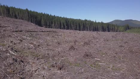Niedriger,-Langsamer-Flug-über-Einem-Abgeholzten-Abholzungsgebiet