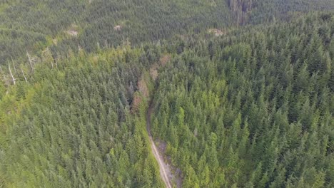 Aerial-view-of-4wd-road-through-dense-forest