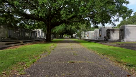 Ronroneando-Bajo-En-Un-Cementerio-De-Nueva-Orleans