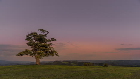 Time-lapse-of-abandoned-tree-on-hill-at-dark-sunset-with-rising-moon-in-full-moon-over-horizon-between-nature-and-landscape-overlooking-dark-moody-clouds-and-tractor-carrying-stacks-of-straw-at-night