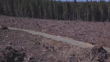 Clearcut-logging-landscape-with-an-access-road