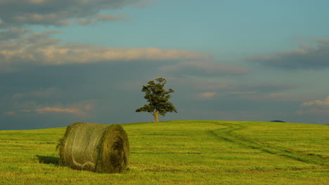 A-hill-with-an-abandoned-tree-during-the-day-with-a-view-of-a-stack-of-hay-or-straw-and-a-view-of-moving-clouds-and-the-surrounding-nature-panoramic-landscape-view-in-4k-60fps-capture