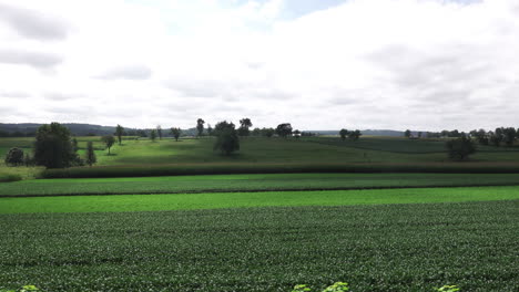 Vorbei-An-Sattgrünen-Getreidefeldern