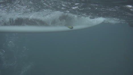 Unterwasseraufnahme-Eines-Asiatischen-Surfers,-Der-Auf-Seinem-Surfbrett-Paddelt