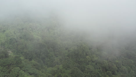 Antenne-über-Schönem-Wolkenregenwald