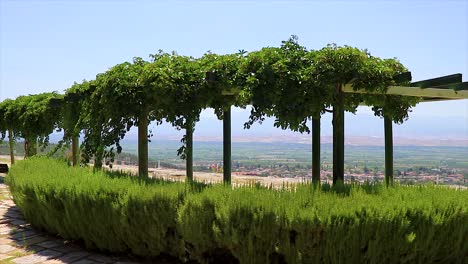 Beautiful-green-garden-with-bushes-at-Pamukkale-Turkey