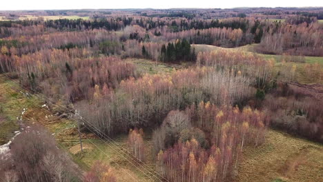 Drone-footage-of-power-lines-between-woods-in-rural-area-un-cloudy-autumn-day