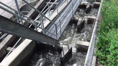 Eine-Fischtreppe-Aus-Beton-An-Einem-Damm,-Damit-Die-Fische-Weiter-Stromaufwärts-Gehen-Können