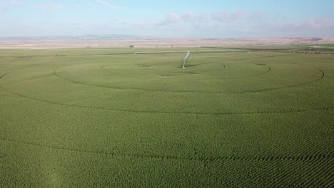 Atemberaubende-Luftaufnahme-Von-Maisfeldern-Mit-Einem-Center-Pivot-Bewässerungssystem-Im-Columbia-Becken-Im-Osten-Des-Bundesstaates-Washington-Im-Spätsommer