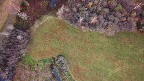 Flyover-of-swamp,-revealing-an-old-family-home-next-to-it---top-down-view