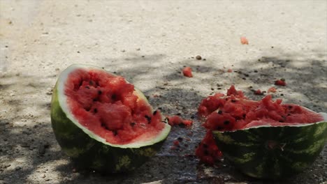 Wassermelone-Zu-Boden-Geworfen-Und-In-Zwei-Hälften-Gespalten