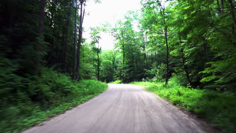 Driving-through-a-forest-on-a-paved-road