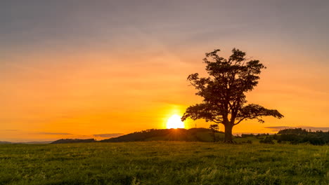 "Setting-sun-time-lapse-with-a-view-of-an-abandoned-tree-on-a-hill-beyond-the-horizon-of-a-sunset-orange-color-with-a-lot-of-clouds-and-a-change-in-sky-colors-on-a-summer-day-captured-nature-on-hill