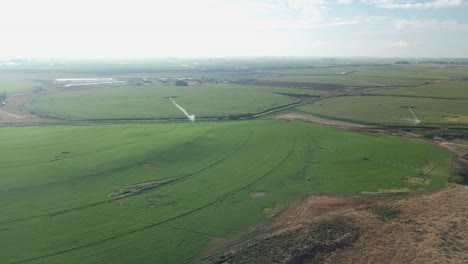 Peaceful-aerial-view-of-corn-fields-with-center-pivot-irrigation-systems-in-the-Columbia-Basin-Project-of-eastern-Washington-state-in-late-summer