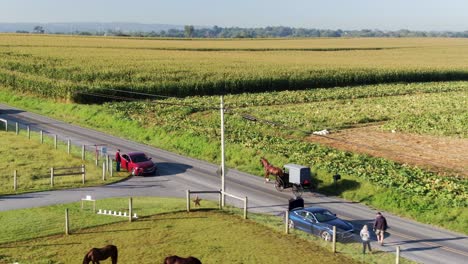 Aerial-drone-view-of-Amish-horse-and-buggy-on-road-in-Lancaster-Pennsylvania,-unrecognizable-tourists-observe,-pumpkin-patch-visible