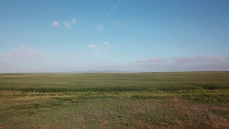 panoramic-view-of-corn-fields-and-a-dairy-operation-in-the-Columbia-basin-of-eastern-Washington-State-in-late-summer