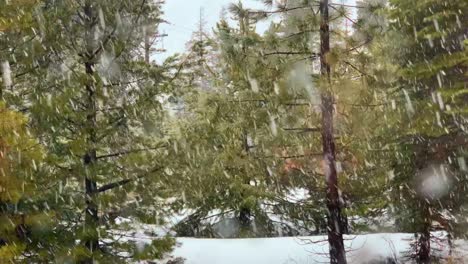 Continuous-winter-snow-footage-in-HD