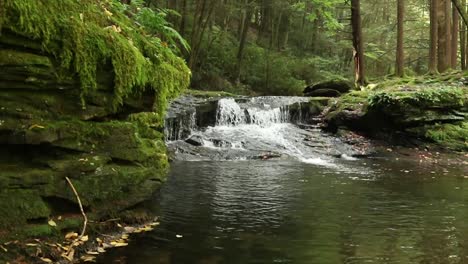 Mountain-stream-running-through-a-valley-of-the-Appalachian-Mountains
