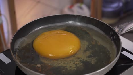Big Ostrich Egg Cracked Open Pan Stock Photo 1545523553