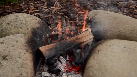Reveal-tilt-shot-of-chopped-wood-burning-on-hot-smoking-campfire-outdoors-in-the-forest
