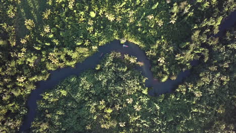 Fluss,-Der-Mit-Einem-Boot-Durch-Tropischen-Wald-Fließt