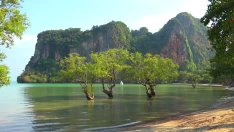 Tropical-beach-with-turquoise-water,-with-cliffs-and-flooded-trees