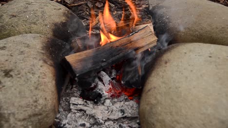 Chopped-logs-burning-on-smoky-hot-campfire.Close-up
