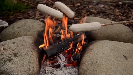 Friends-cooking-sausages-on-a-sticks-for-breakfast-meal-over-flaming-campfire-outdoors