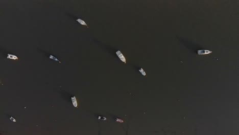 Aerial-vertical-view-of-boats-on-natural-reserve