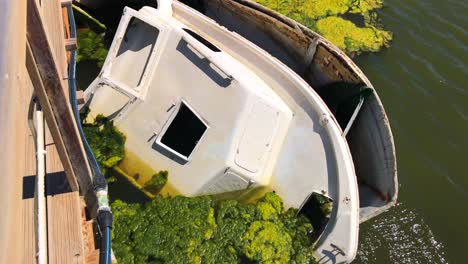 Abandoned-boat-in-a-bright-green-swamp-in-sunny-weather,-abandoned-ship-in-a-pond-lake-with-moss-in-Marbella-Spain