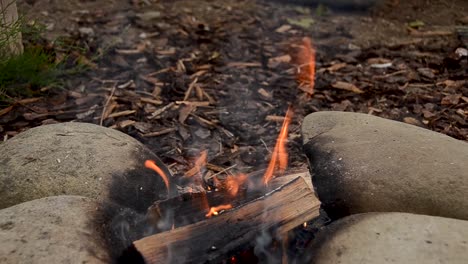 Tilt-down-shot-revealing-burning-logs-on-hot-campfire-outdoors-in-woods