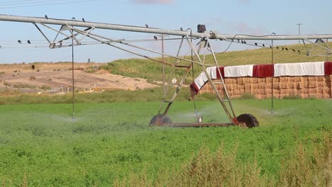 Pivot-irrigation-at-the-edge-of-an-alfalfa-field-in-a-rural-agricultural-area-of-eastern-Washington-state