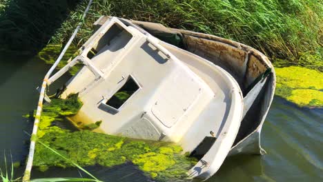 Windy-day-at-a-bright-green-swamp-lake-with-an-abandoned-boat,-abandoned-ship-in-a-pond-lake-with-moss-in-Marbella-Spain