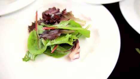 Salat-In-Einer-Ersten-Kameraebene-Und-Dann-Blätter-Von-Hand-Legen