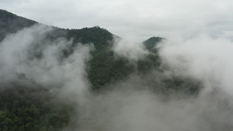 Aerial-Flight-Above-Fluffy-Clouds-over-Lush-Rainforest