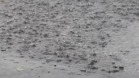 Regentropfen,-Die-Während-Eines-Sturms-In-Einer-Wasserpfütze-Plätschern