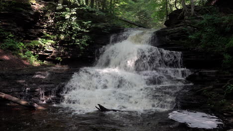 The-beautiful-Onondaga-Waterfalls-in-the-forest