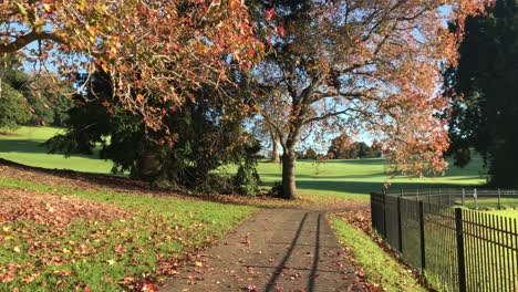 Langsamer-Schwenk-Links-Von-Herbstfarben-Gefallener-Blätter-Auf-Einem-Weg-Im-örtlichen-Park-In-Auckland,-Neuseeland