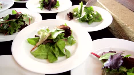Hands-putting-leaves-in-a-salad-plate