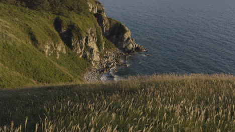 Seaside-coast-line-with-big,-steep-cliffs,-and-beautiful-inclined-fields-with-high-grass,-on-the-sunset