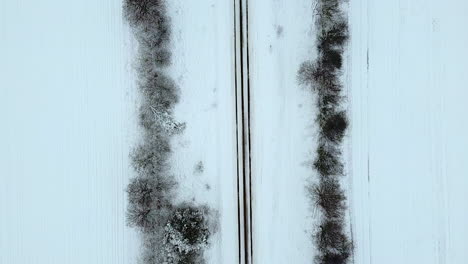 Top-view-of-the-wintery-road-between-sleeping-birch-alley-in-slow-motion