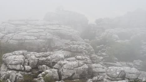 Cabra-Montés-Ibérico-En-El-Torcal-De-Antequera-Rocas-De-Montaña-En-Un-Día-De-Niebla