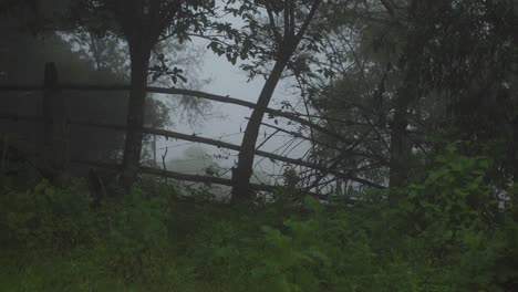 Fence-Made-From-Tree-Branches-and-Barb-Wire-on-Foggy-Day