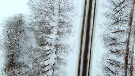 Aerial-view-of-winter-road-and-forest-with-snow-covered-trees